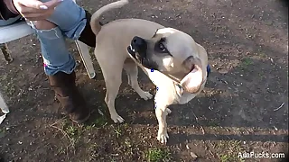 11185 pussy porn videos